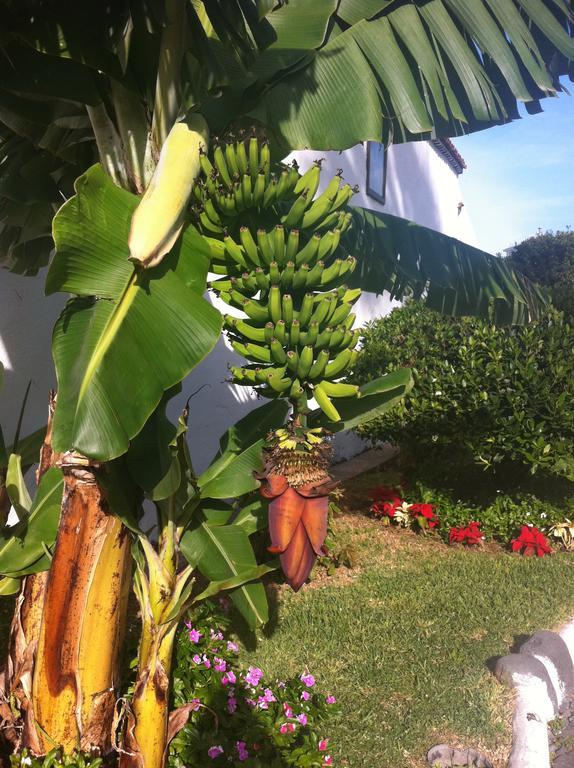 Apartment Eden Island Village Costa Adeje  Ngoại thất bức ảnh